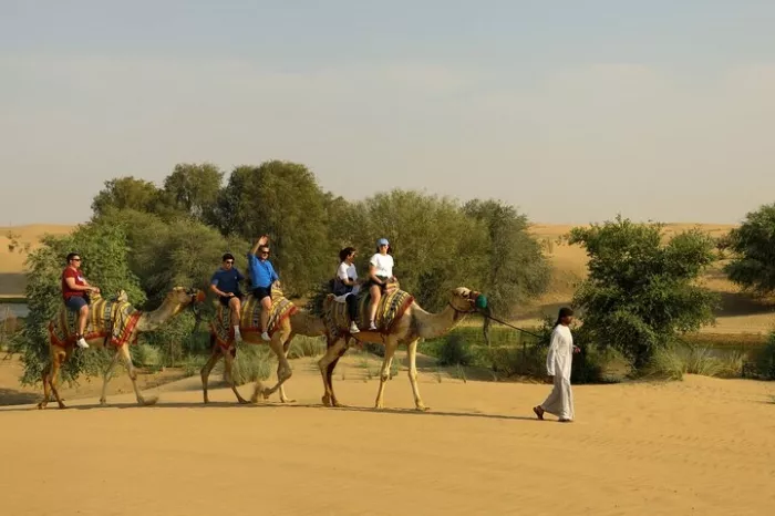 Музей "Al Marmoom Heritage Village"