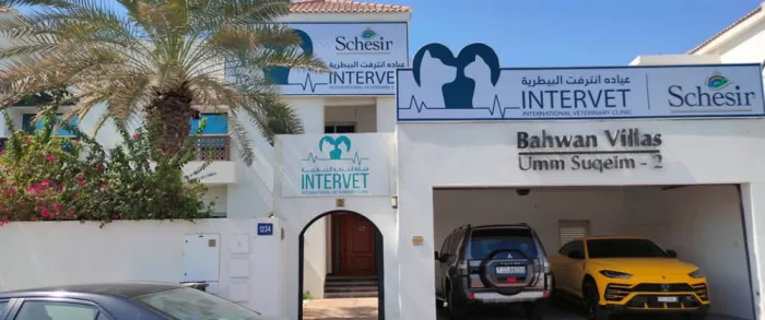 Ветеринарная клиника "Intervet Veterinary Clinic"