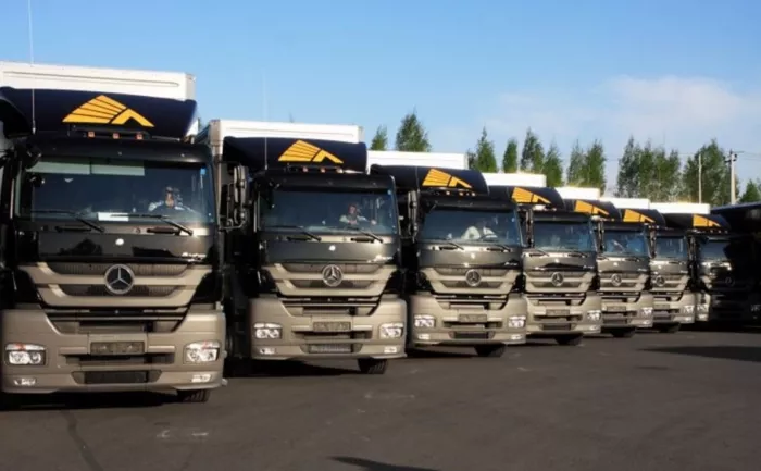 ​Транспортная компания "Деловые Линии".