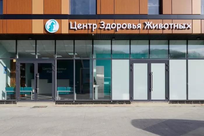 "Центр здоровья животных".