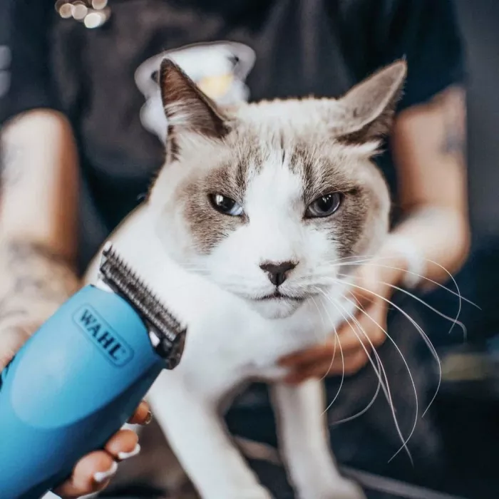Зоосалон "Barberdog".