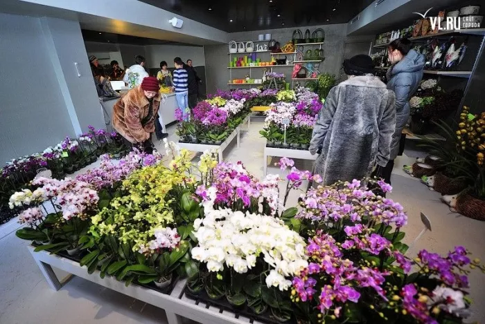 Магазин цветов «Dushi Fangqun Gardening and Flower Market»