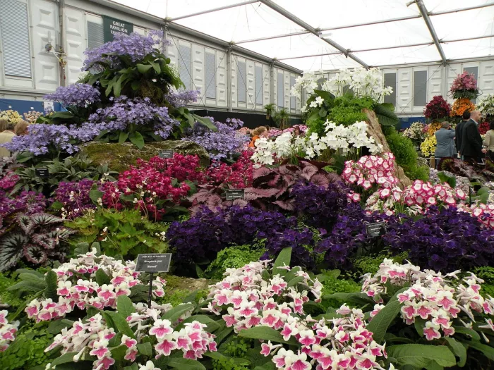 Магазин цветов «Dushi Fangqun Gardening and Flower Market»