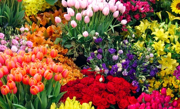 Магазин цветов «Dushi Fangqun Gardening and Flower Market»