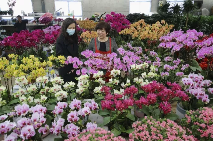 Магазин цветов «Dushi Fangqun Gardening and Flower Market»