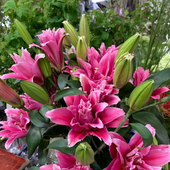 Магазин цветов «LaiTai Flower Market»