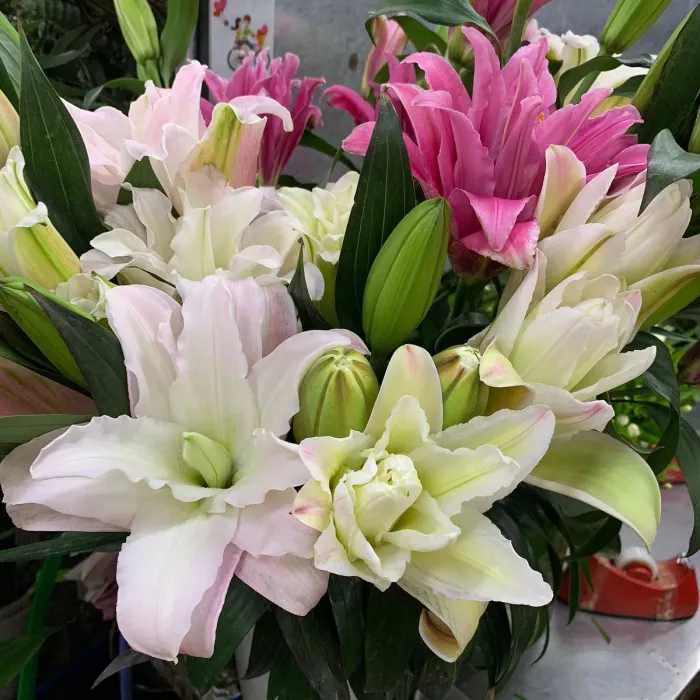 Магазин цветов «LaiTai Flower Market»