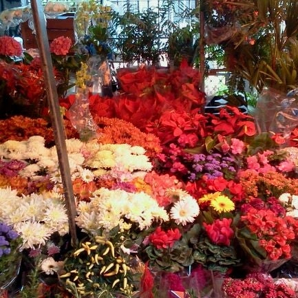 Магазин цветов «Tongsha Flower Market»