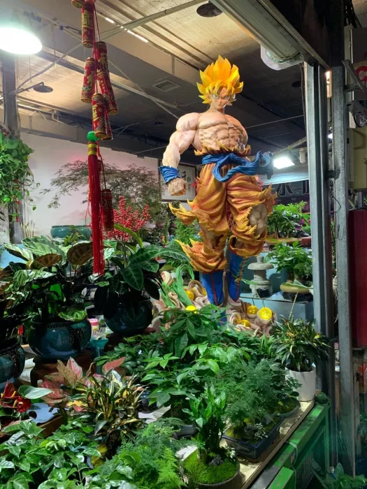 Магазин цветов «Chaolaichun Flower Market»