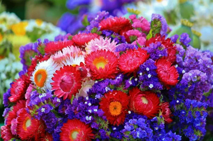 Магазин цветов «Chaolaichun Flower Market»