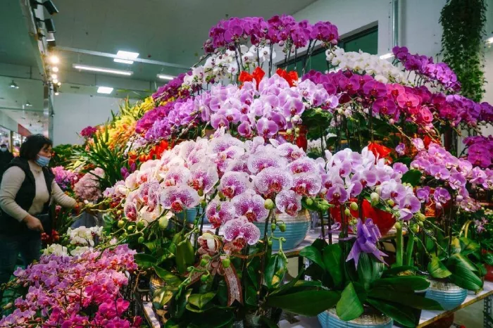 Магазин цветов «Yuquanying Flower Market»