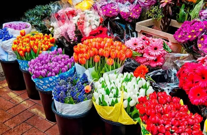 Магазин цветов «Yuquanying Flower Market»
