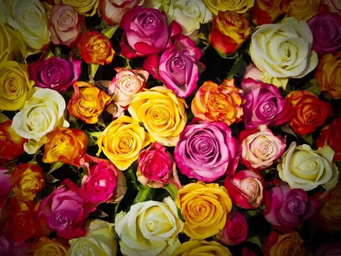 Магазин цветов «Dasenlin Flower Market»