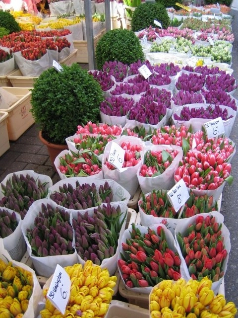 Магазин цветов «Dasenlin Flower Market»