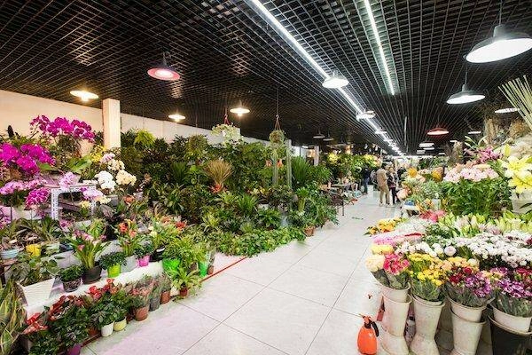 Магазин цветов «Liangma Flower Super Market»