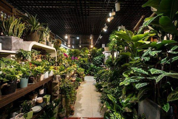 Магазин цветов «Liangma Flower Super Market»