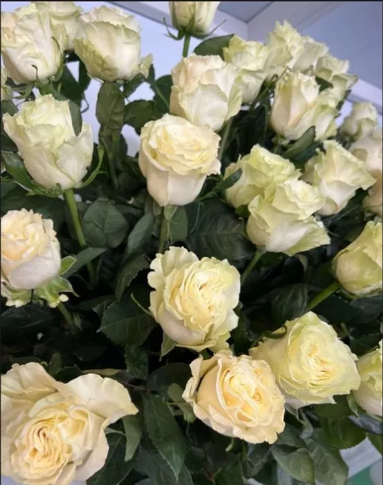 Цветочный магазин "Vira Rose".