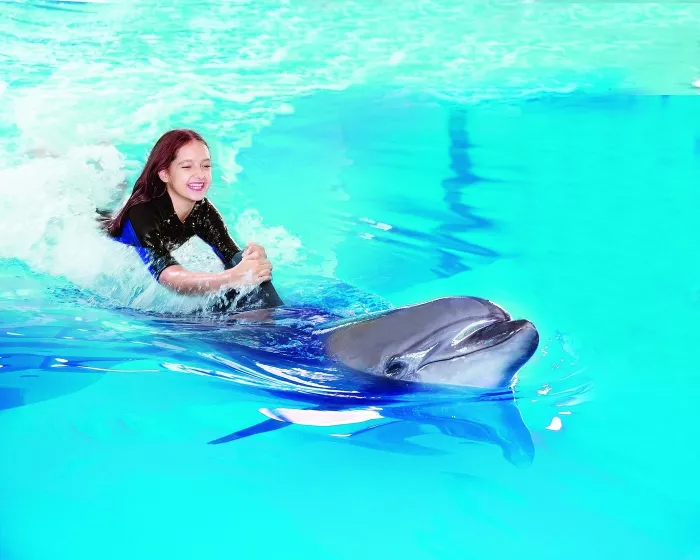 Дельфинарий "Dubai Dolphinarium"