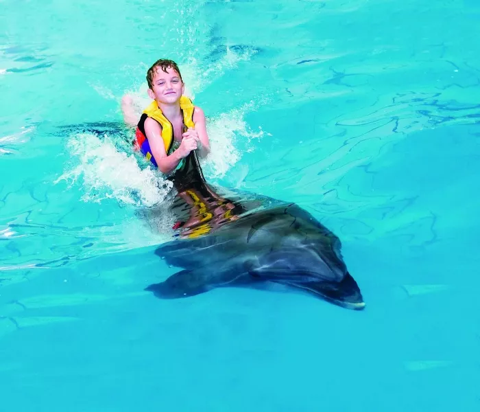 Дельфинарий "Dubai Dolphinarium"
