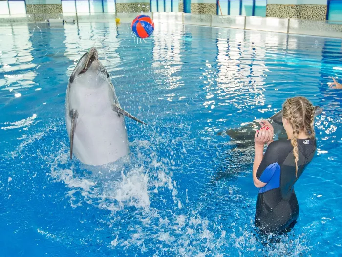 Дельфинарий "Dubai Dolphinarium"