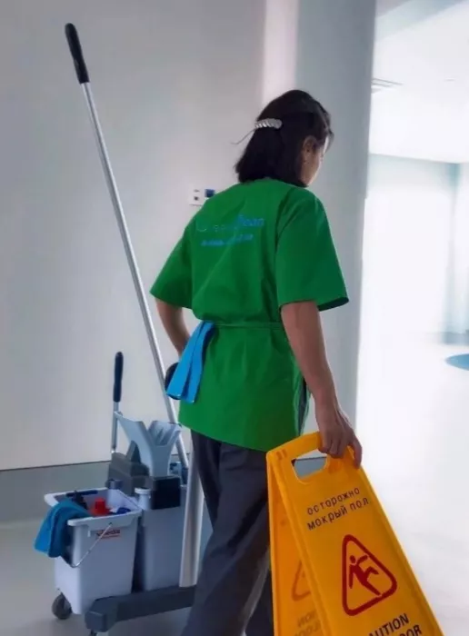 Клининговая компания "Green Clean".