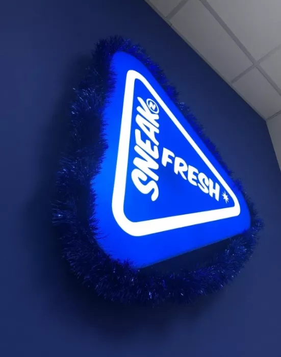 Служба по химчистке и ремонту обуви "SneakNFresh".