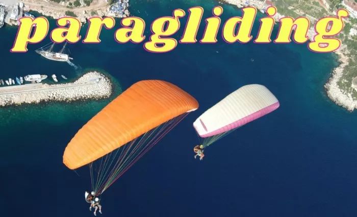 Лодочные туры "Bougainville Travel"