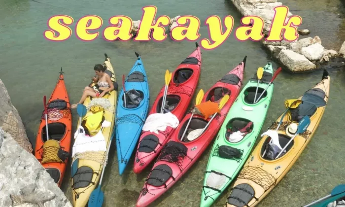 Лодочные туры "Bougainville Travel"