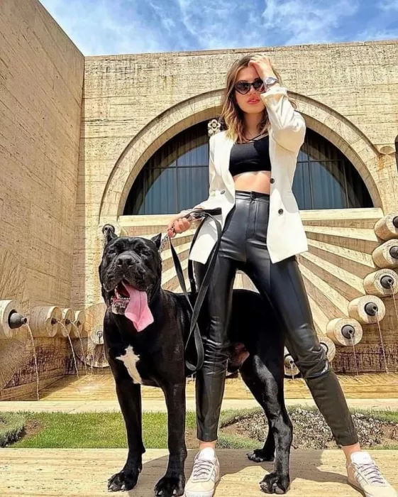 Модельное агентство "Armenia Yash Models".