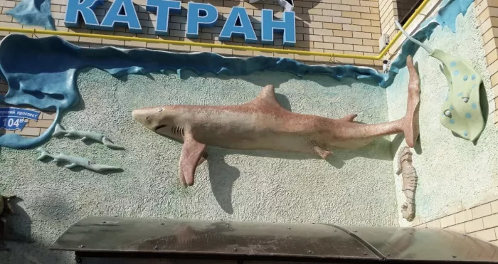 Отель "Катран"