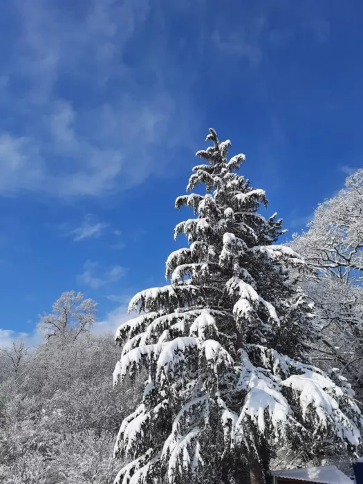 База отдыха "Серебряное озеро".