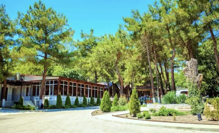 Автокемпинг "Арион" 