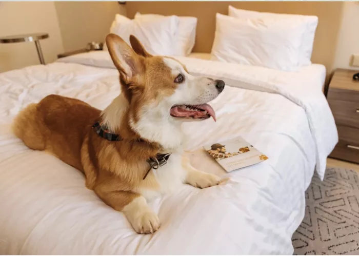 Отель "Courtyard by Marriott"