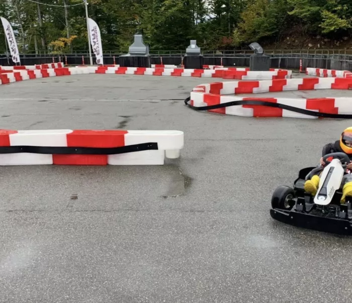 Картинг "Gokart 960"