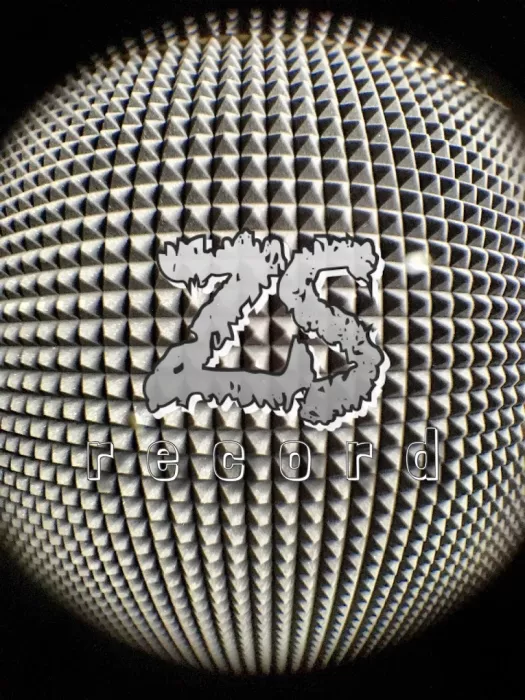 Студия звукозаписи "ZS Record".