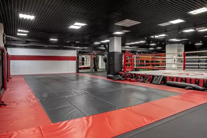 Клуб единоборств "VizaSport".