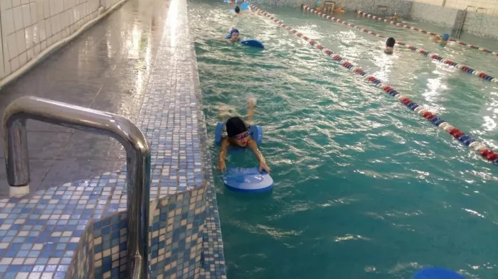 Школа спортивного и оздоровительного плавания "Aqua Delfin".