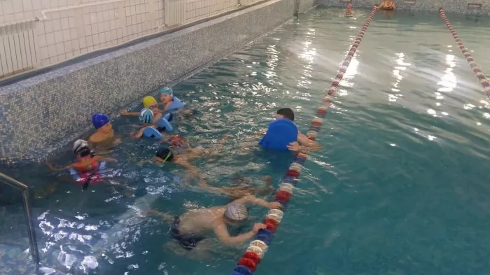 Школа спортивного и оздоровительного плавания "Aqua Delfin".