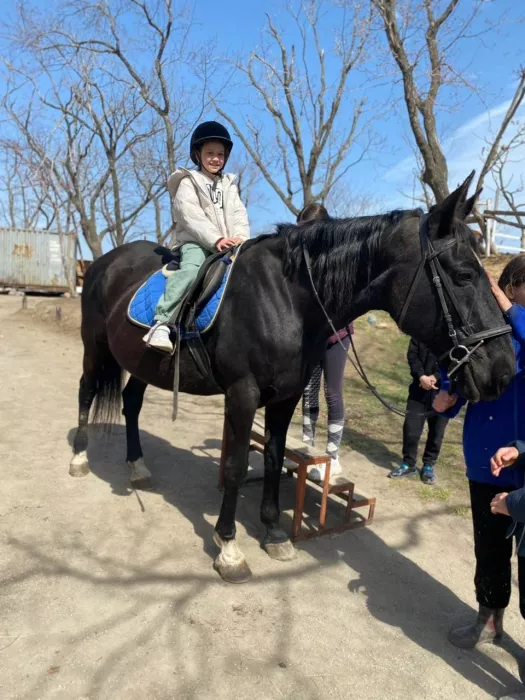 Конно-спортивный клуб "Fast Horse".