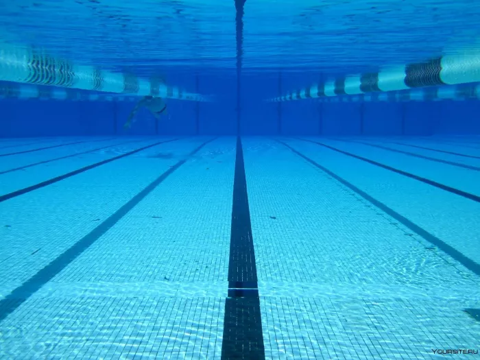 Школа легкого плавания "I Love Swimming".