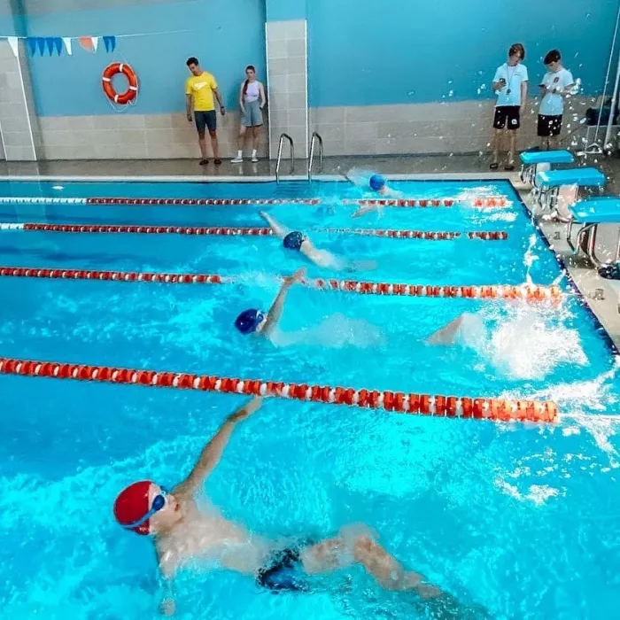 Клуб плавания "Остров чемпионов".