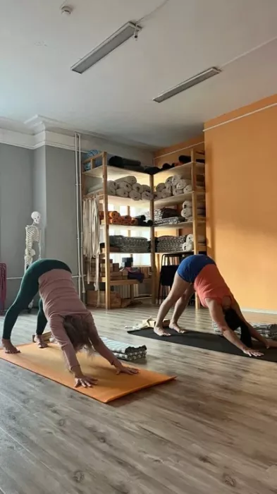Студия йоги "ВладYOGA".
