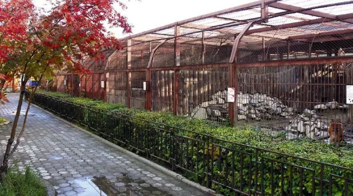 "Екатеринбургский зоопарк"