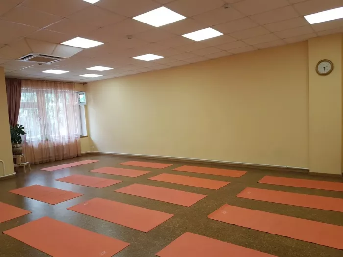Студия йоги "Йога-Сиддхи и дом йоги".