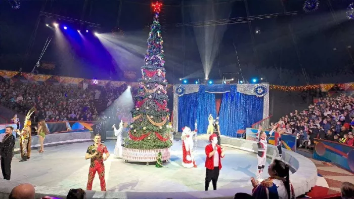 Цирк в Автово