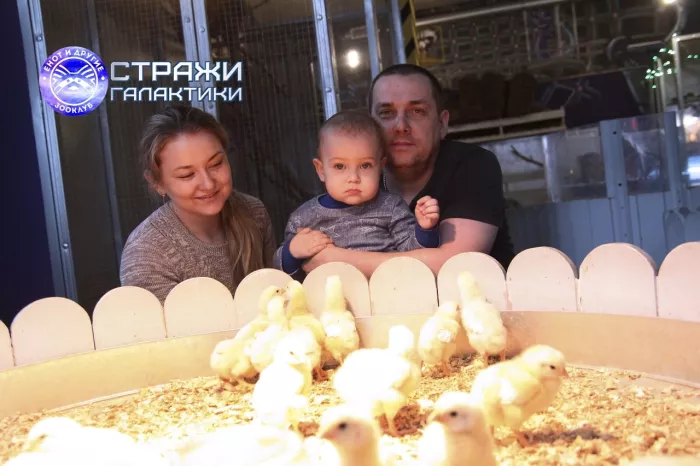 Зооклуб "Стражи Галактики"