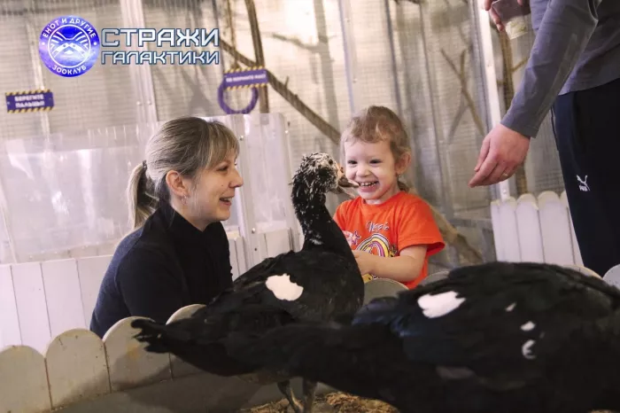 Зооклуб "Стражи Галактики"