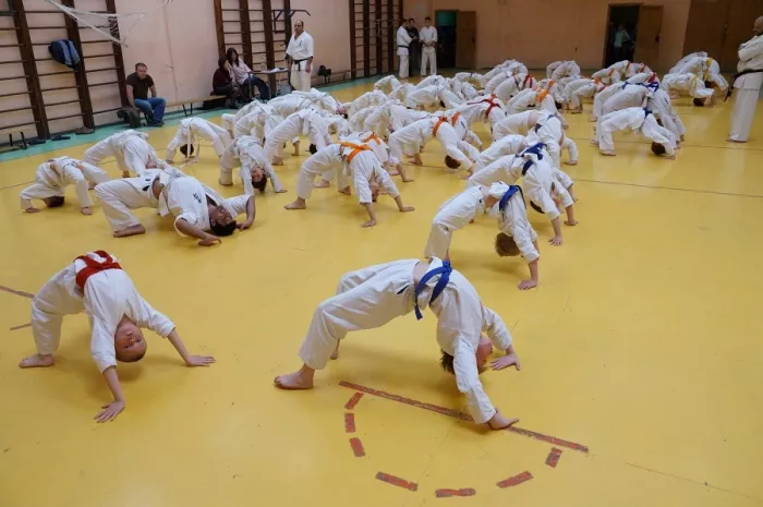 Спортивный клуб «Щит и Меч».