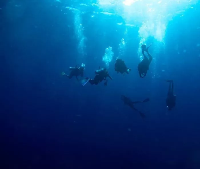 Дайвинг-центр «DiveGurus»