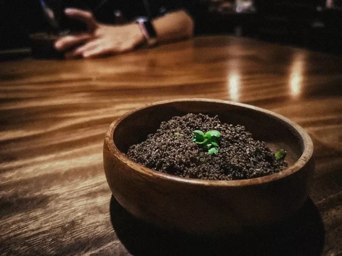 Ресторан «Toyo Eatery»